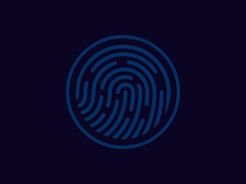 Fingerprint success animation